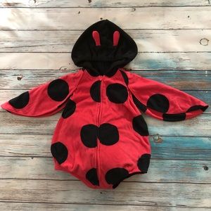 Ladybug costume